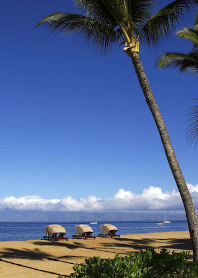 This image shows a tropical beach scene with palm trees, sand, a calm ocean, lounge chairs, and a clear blue sky, creating a tranquil atmosphere.