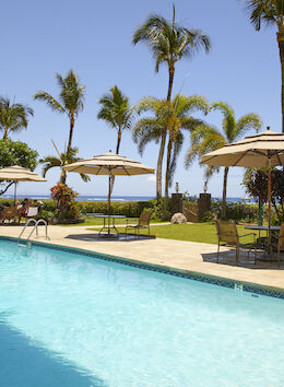 A serene pool setting with lounge chairs, umbrellas, and palm trees, overlooking a grassy area and the ocean, under a clear blue sky.