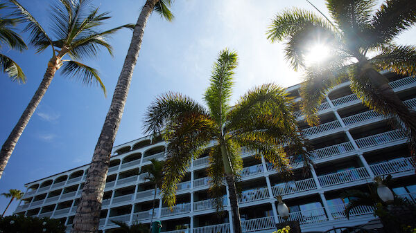 A multi-story white building with balconies is surrounded by tall palm trees under a sunny sky.