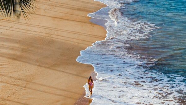 A person walking along a sandy beach beside blue ocean waves, with palm tree shadows cast on the sand.