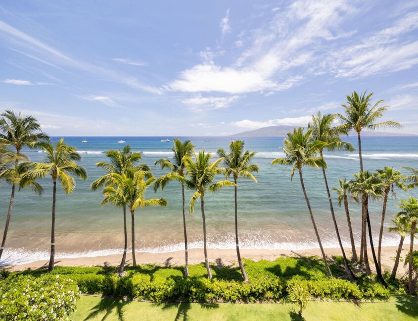 shoreline lined with sandy beach and swaying palm trees, blue waters and blue sky